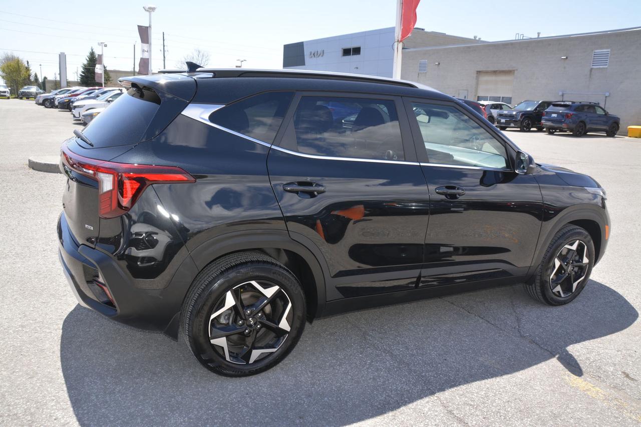2024 Kia Seltos  Photo