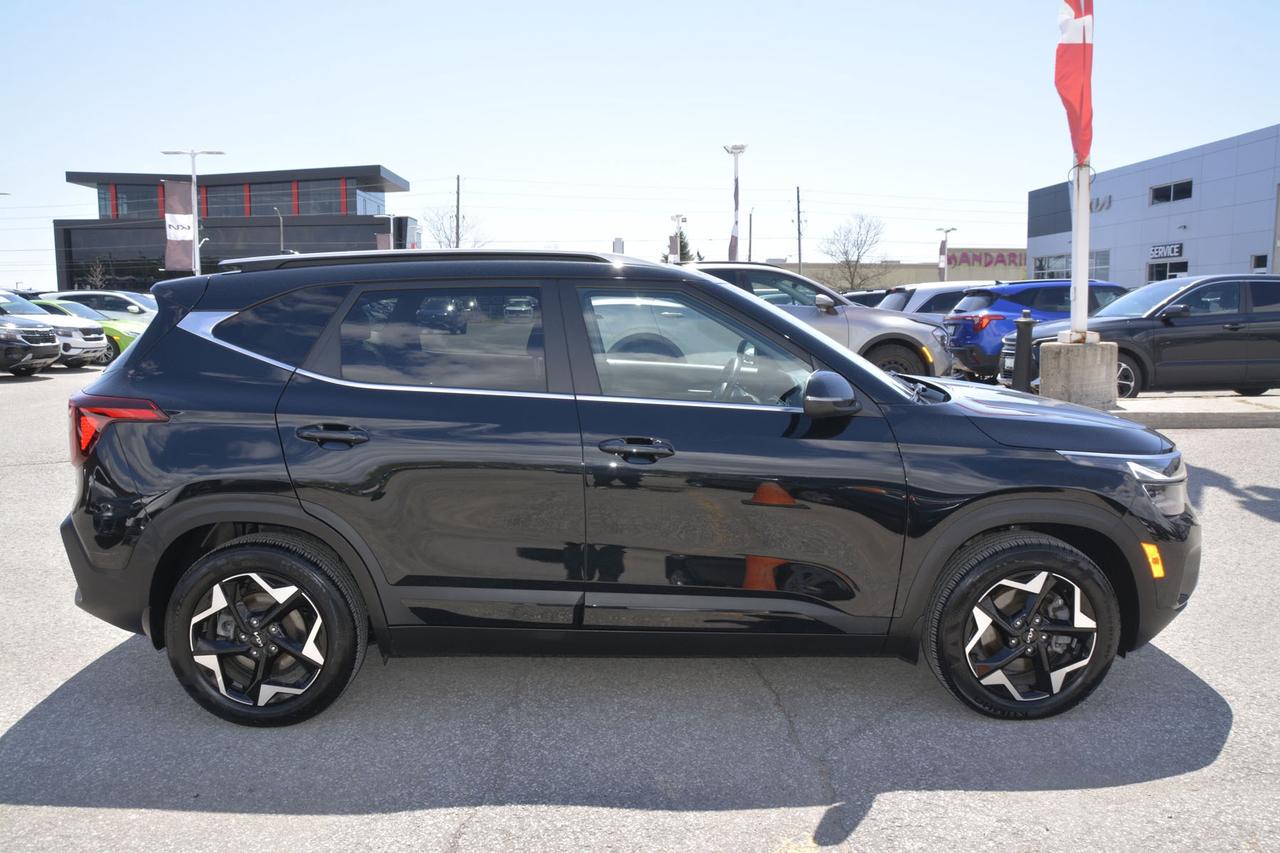 2024 Kia Seltos  Photo