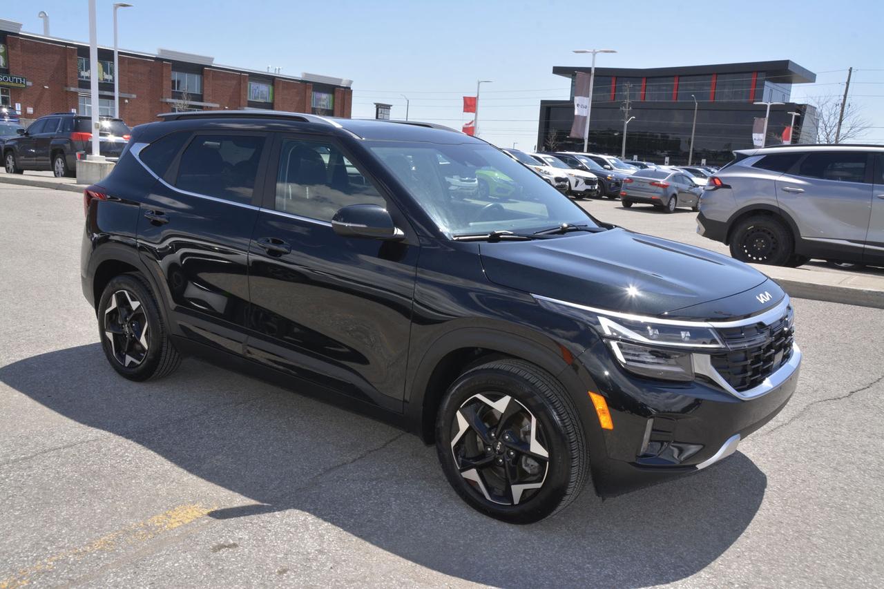 2024 Kia Seltos  Photo