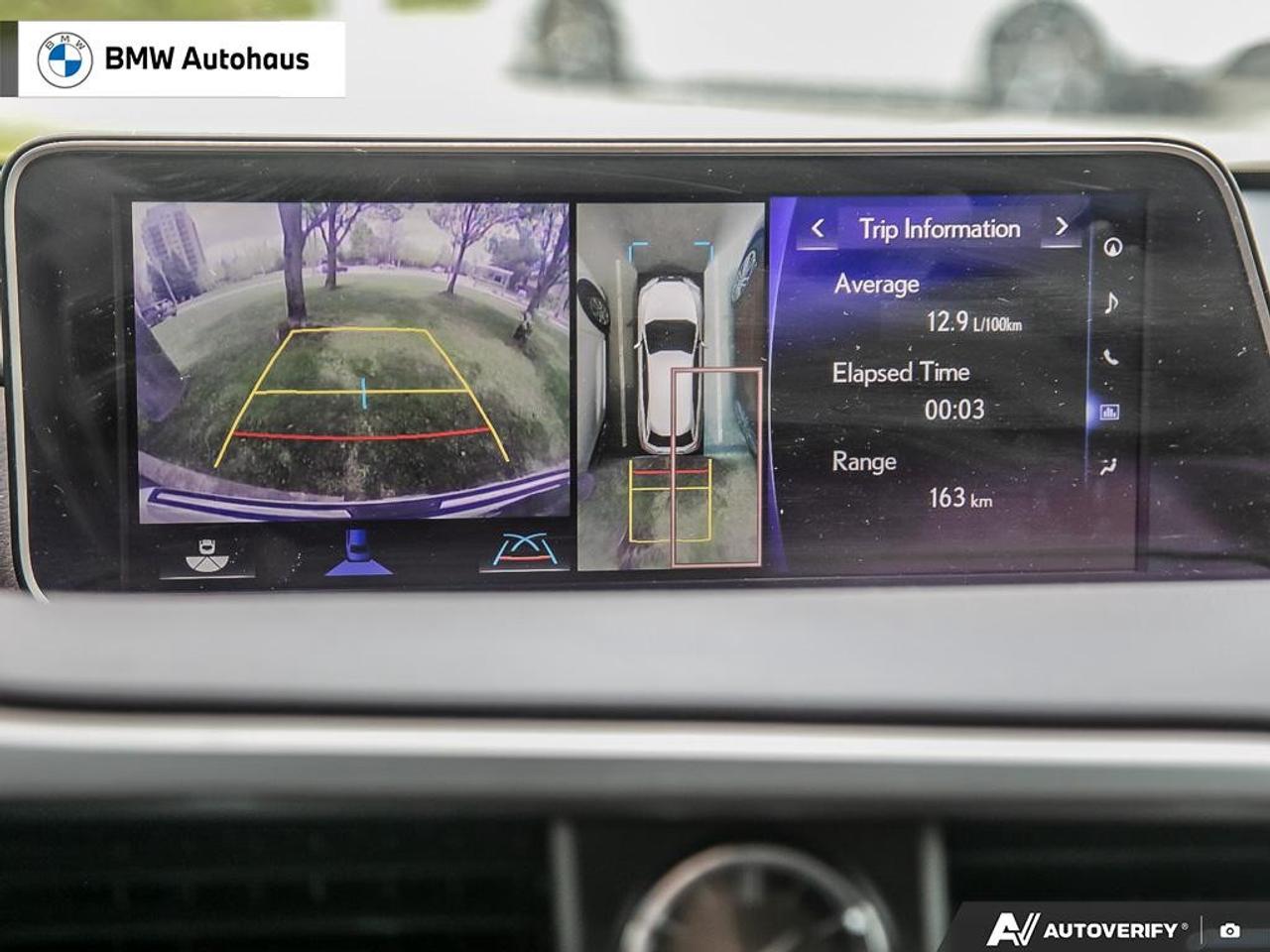 2018 Lexus RX RX 350 Auto Photo