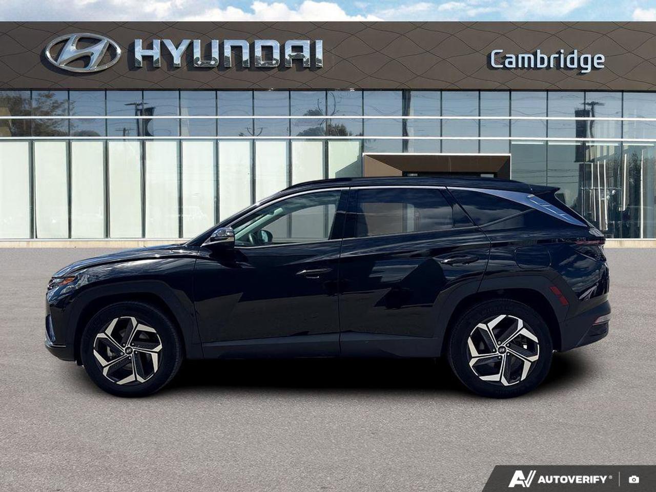 2024 Hyundai Tucson Hybrid Hybrid Ultimate   NO ACCIDENTS ONE OWNER   6.3L/10 Photo