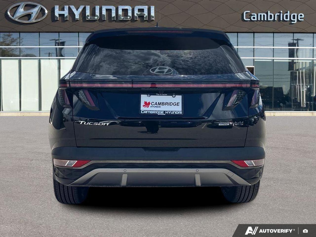 2024 Hyundai Tucson Hybrid Hybrid Ultimate   NO ACCIDENTS ONE OWNER   6.3L/10 Photo