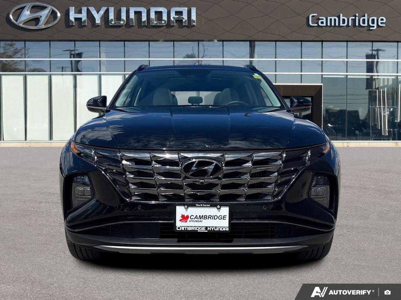 2024 Hyundai Tucson Hybrid Hybrid Ultimate   NO ACCIDENTS ONE OWNER   6.3L/10 Photo