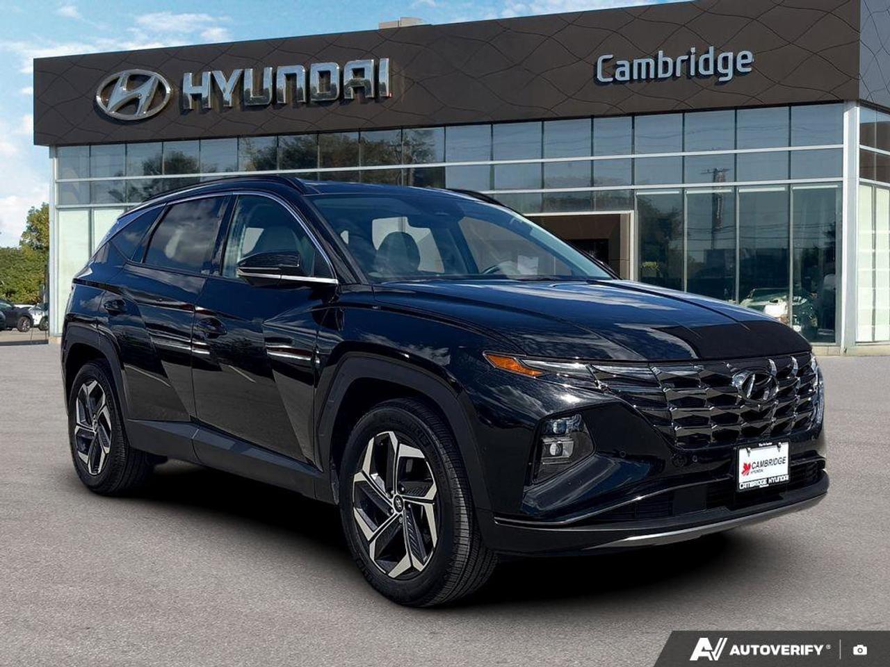 2024 Hyundai Tucson Hybrid Hybrid Ultimate   NO ACCIDENTS ONE OWNER   6.3L/10 Photo