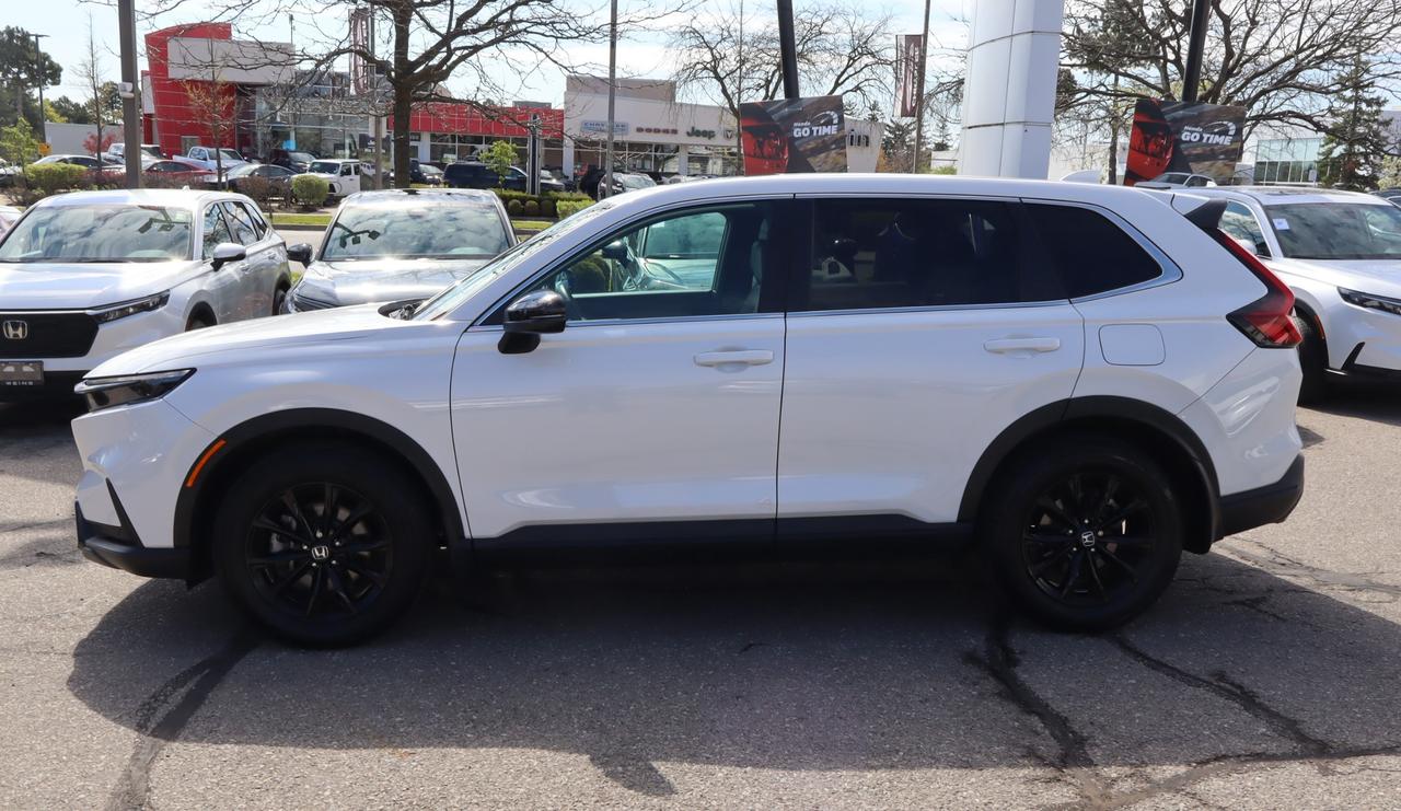 2025 Honda CR-V Hybrid EX-L 4dr All-Wheel Drive Photo