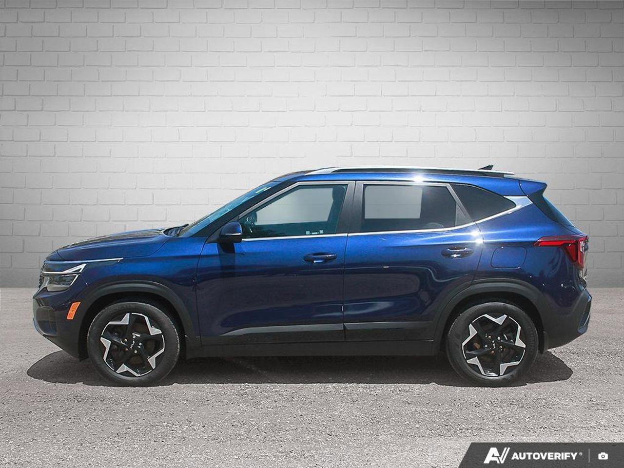2024 Kia Seltos EX AWD Photo