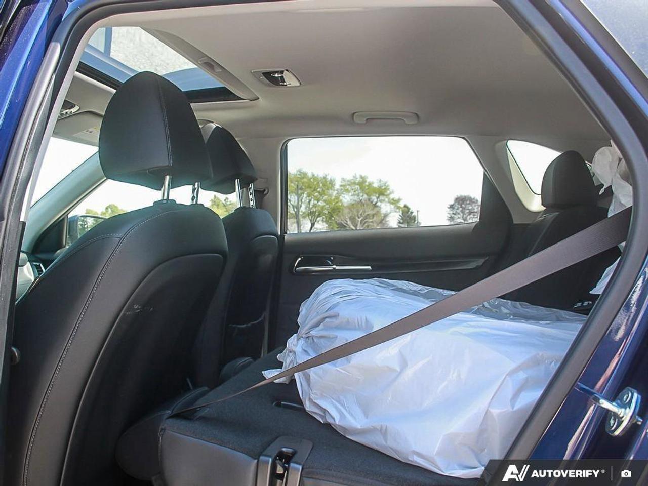 2024 Kia Seltos EX AWD Photo