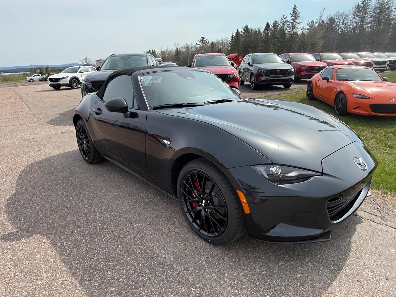 2026 Mazda MX-5 GS-P (M6) 2dr Convertible Photo