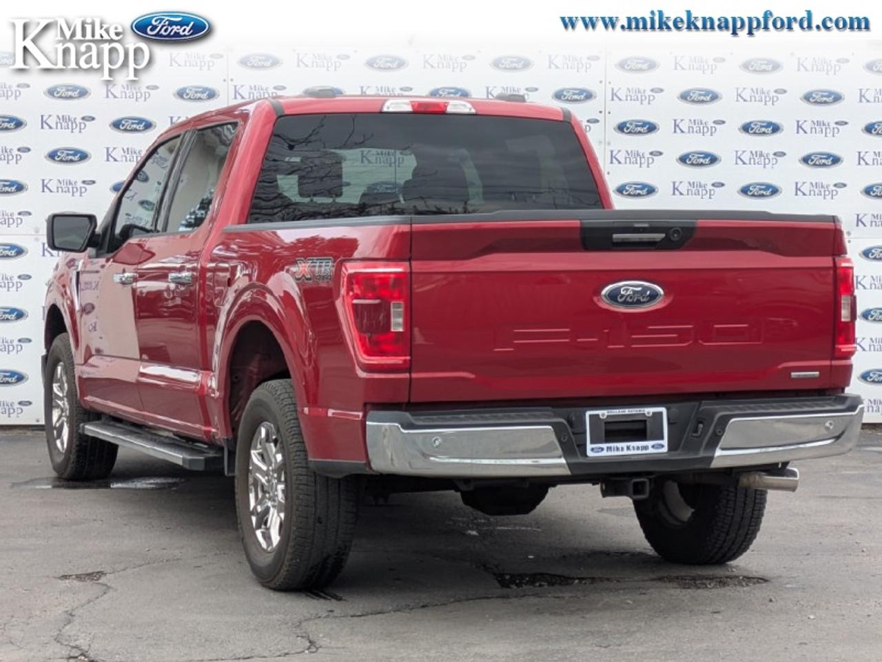 2022 Ford F-150 XLT Photo