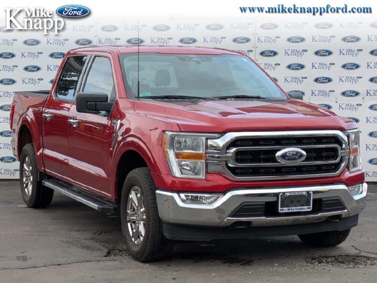 2022 Ford F-150 XLT Photo