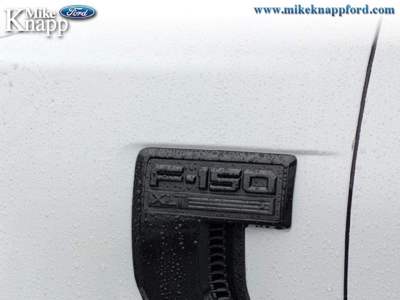 2026 Ford F-150 XLT Photo