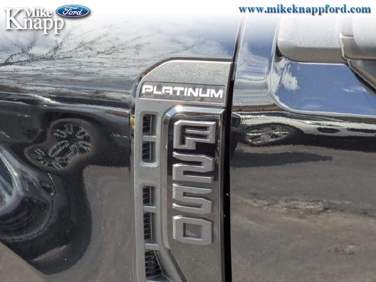 2026 Ford F-250 SUPER DUTY Platinum Photo