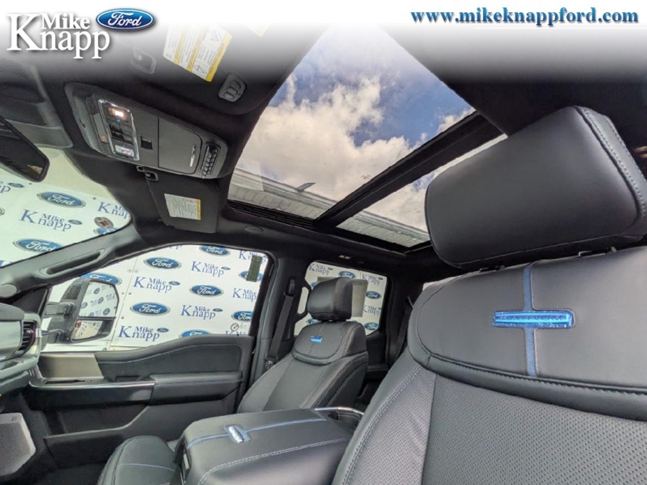 2026 Ford F-250 SUPER DUTY Platinum Photo