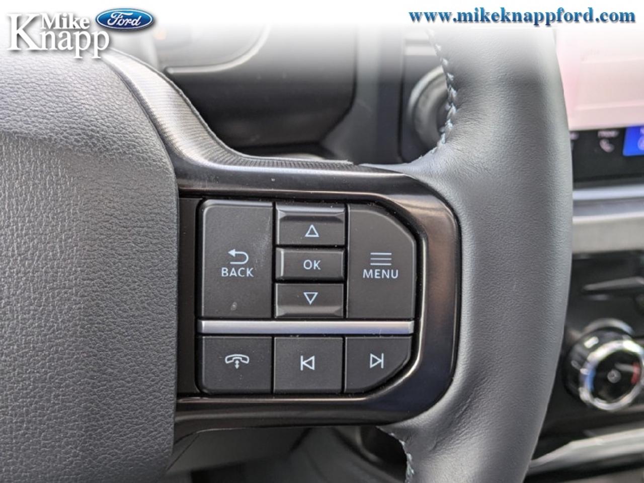 2026 Ford F-250 SUPER DUTY Platinum Photo