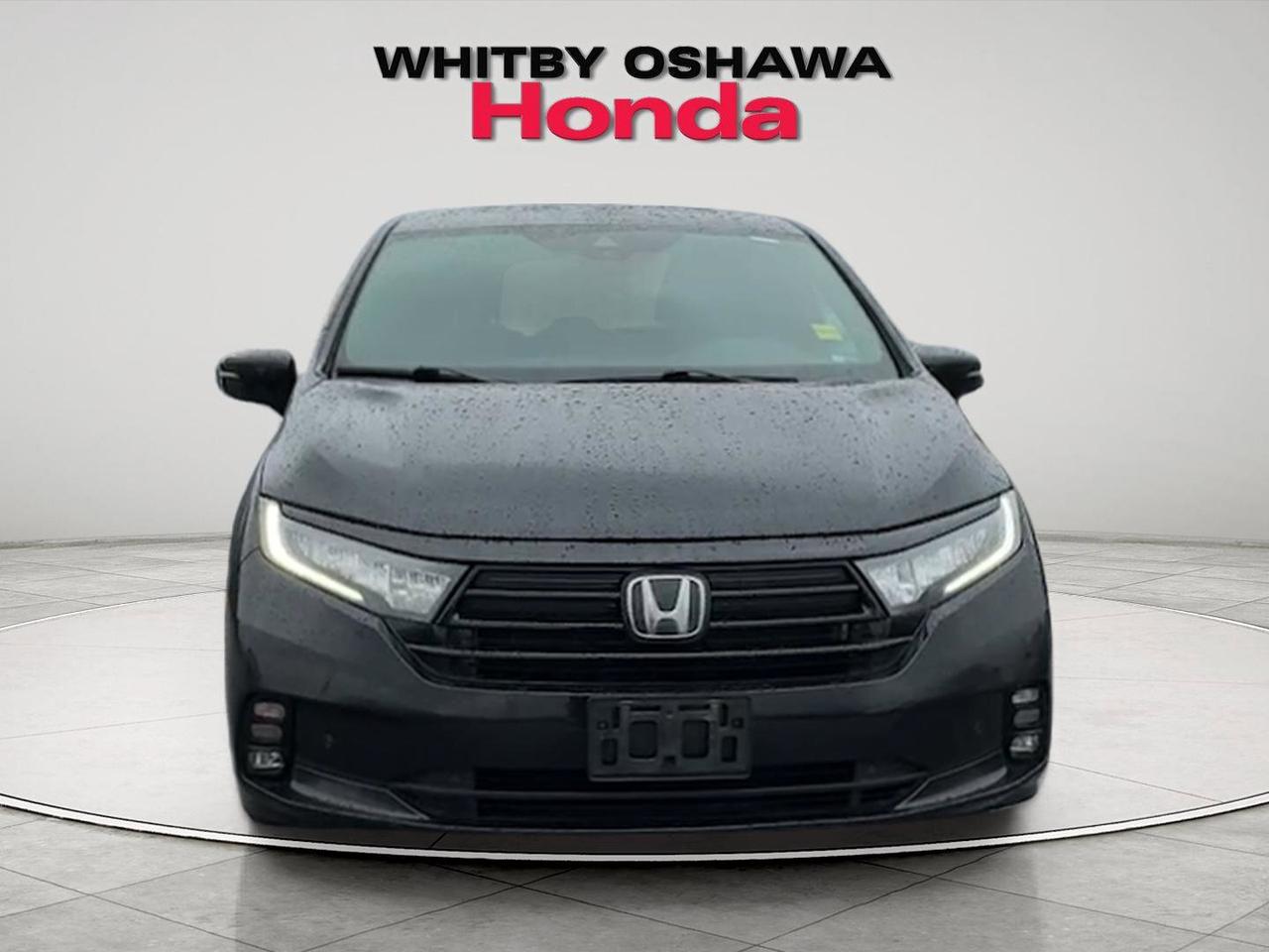 2023 Honda Odyssey Black Edition Auto Photo