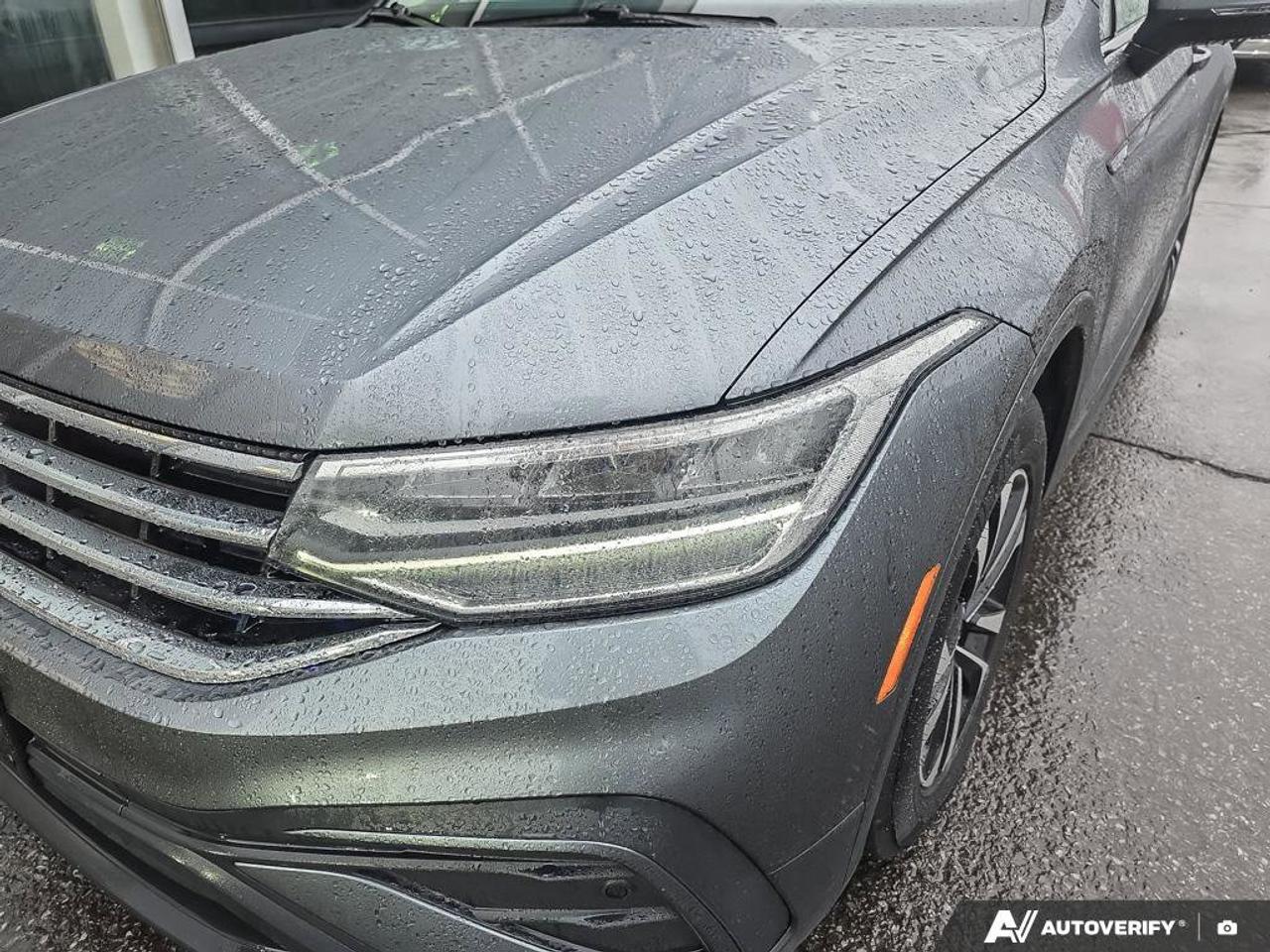 2024 Volkswagen Tiguan Trendline Photo
