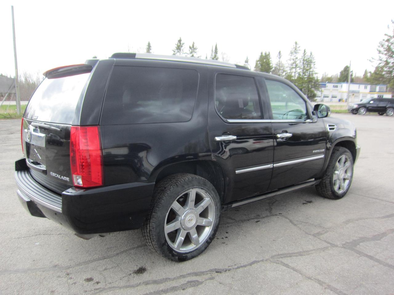 2011 Cadillac Escalade PREMIUM Photo