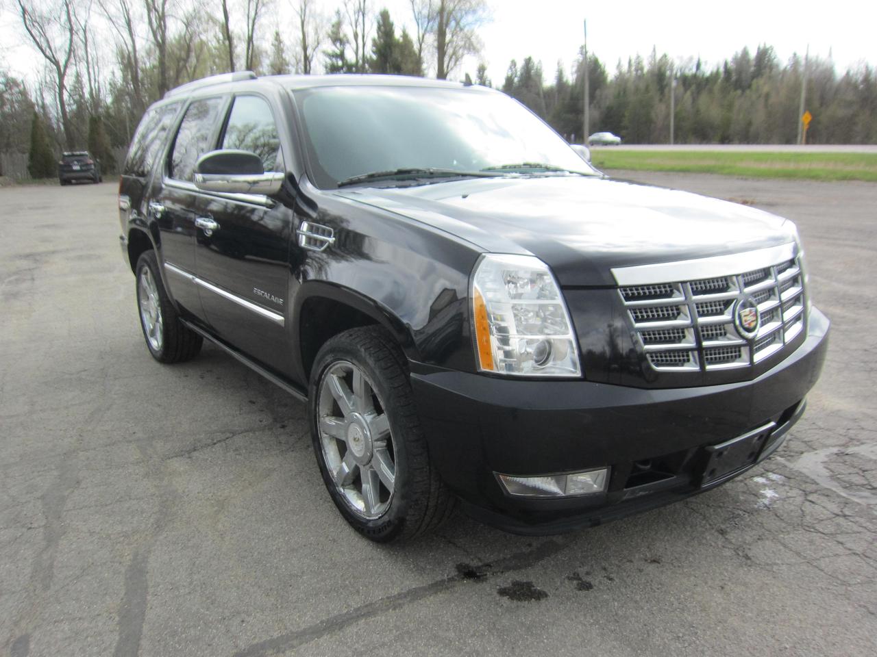 2011 Cadillac Escalade PREMIUM Photo