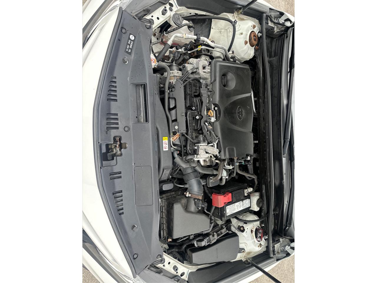 2020 Toyota Camry SE Photo