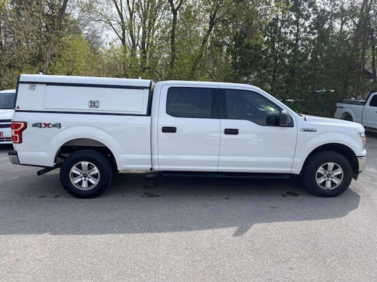2020 Ford F-150 XLT CREW CAB STD BED 4WD SUPERCREW Photo3