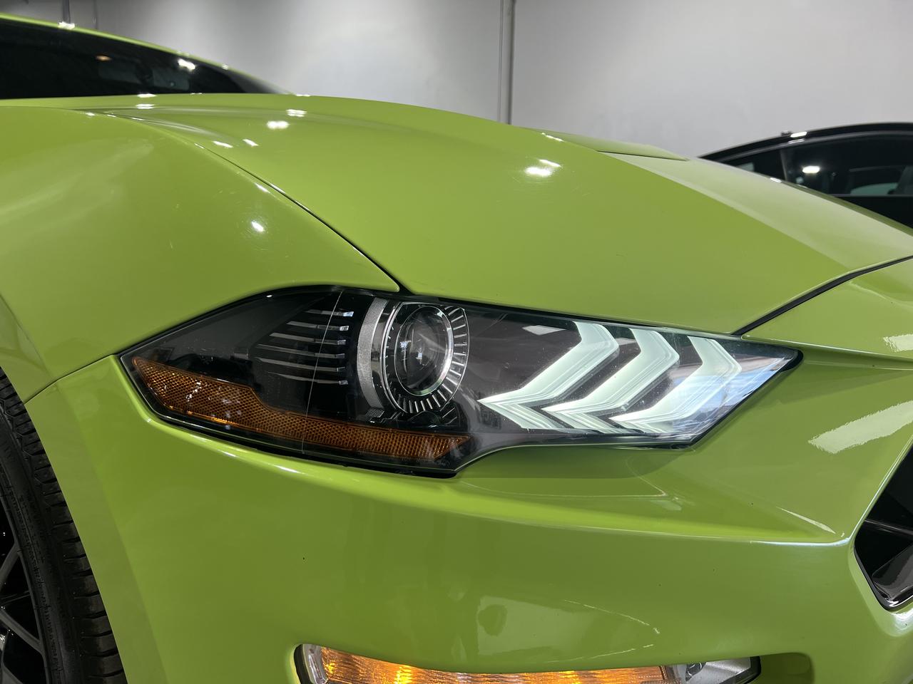2020 Ford Mustang GT Performance Pkg|Active Valve Performance Exhaus Photo