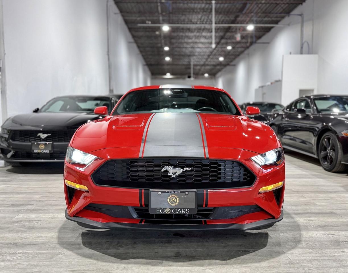 2022 Ford Mustang EB Fastback|Upgrade Wheels & Tires|Hot Deal Photo