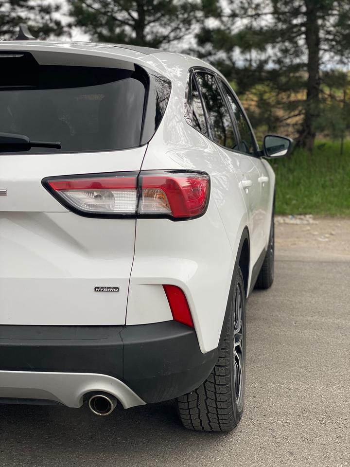 2022 Ford Escape SE Hybrid | NO ACCIDENT CLEAN CARFAX Photo