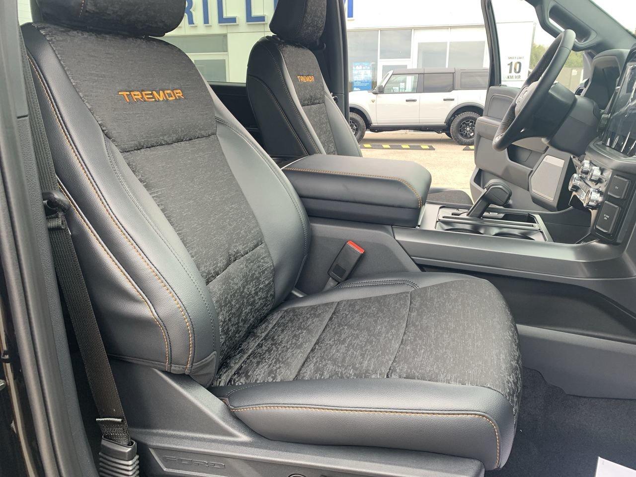 2026 Ford F-150 Tremor Photo