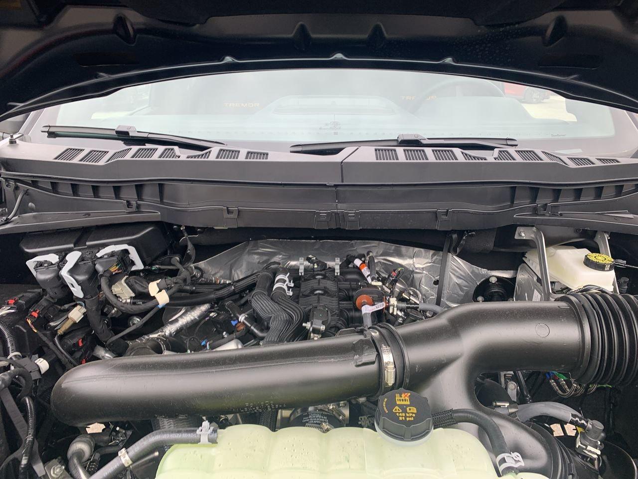 2026 Ford F-150 Tremor Photo