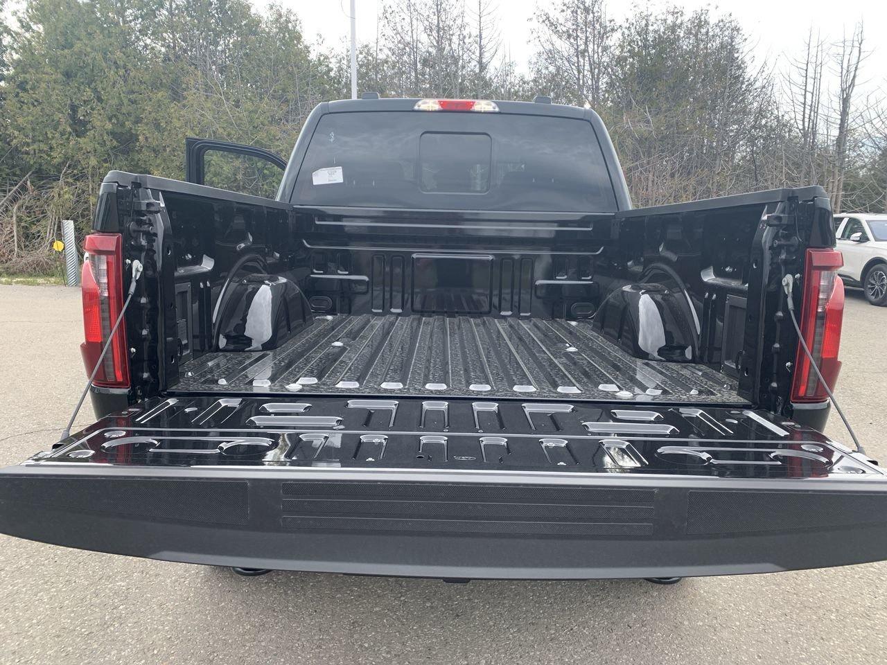2026 Ford F-150 Tremor Photo