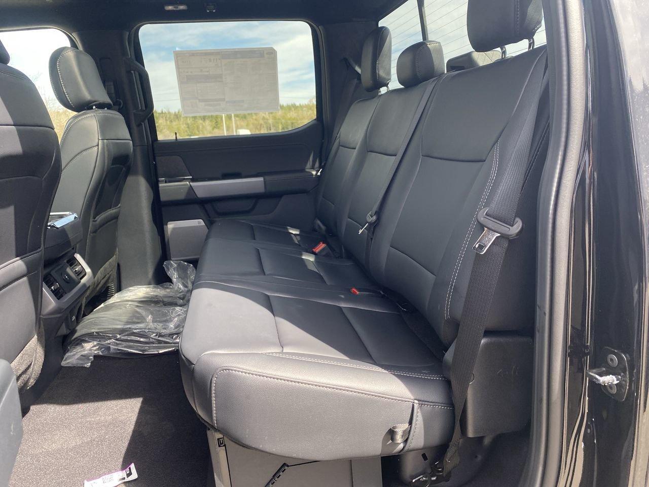 2026 Ford F-150 XLT Photo