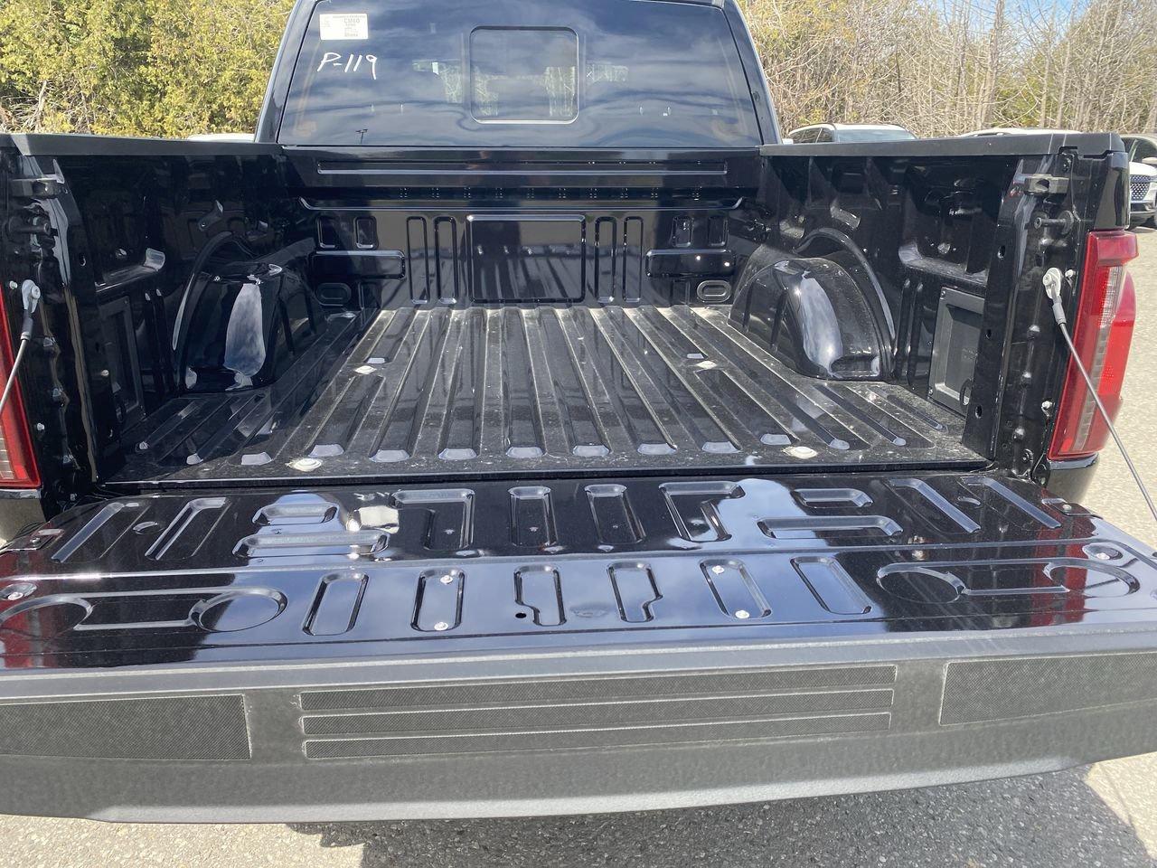 2026 Ford F-150 XLT Photo