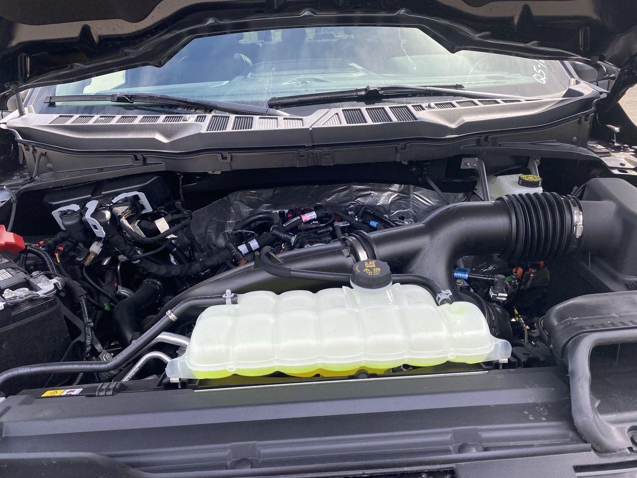 2026 Ford F-150 XLT Photo