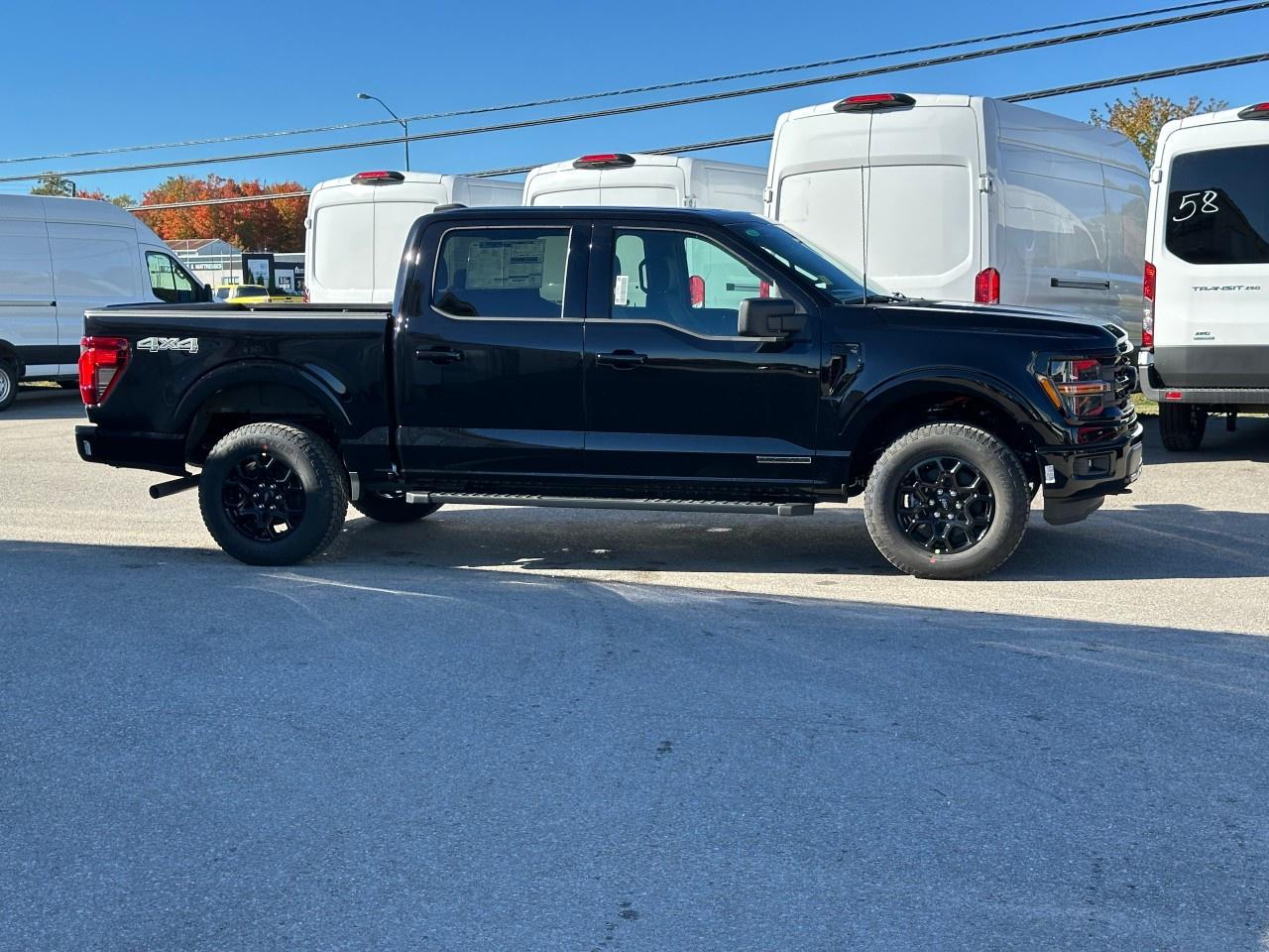2025 Ford F-150 XLT 4WD SuperCrew 5.5' Box Photo4