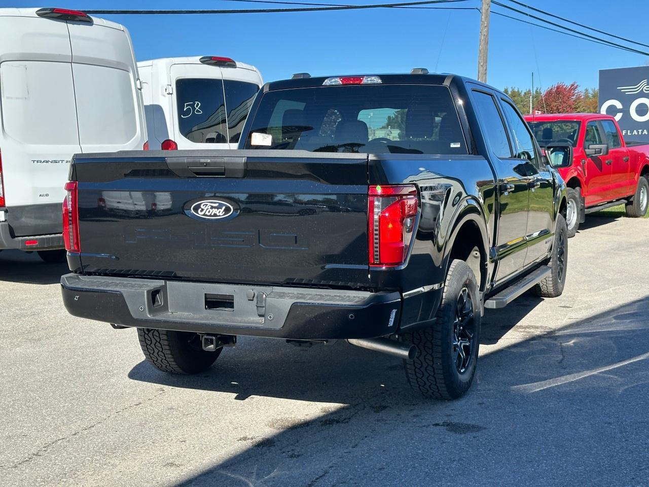 2025 Ford F-150 XLT 4WD SuperCrew 5.5' Box Photo