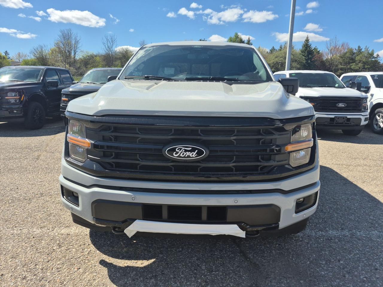 2026 Ford F-150 XLT, MOONROOF, BLACK PKG, 360 CAM, ADAPTIVE CRUISE Photo1