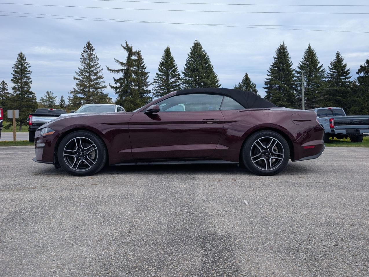 2018 Ford Mustang EcoBoost Premium Convertible Photo3