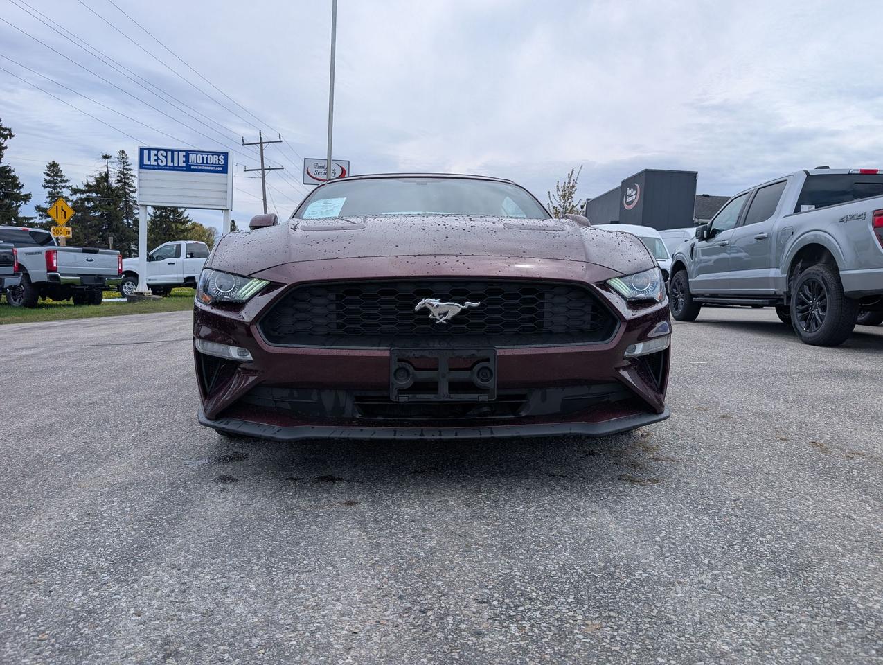 2018 Ford Mustang EcoBoost Premium Convertible Photo2