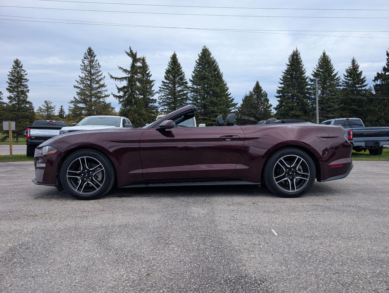 2018 Ford Mustang EcoBoost Premium Convertible Photo4