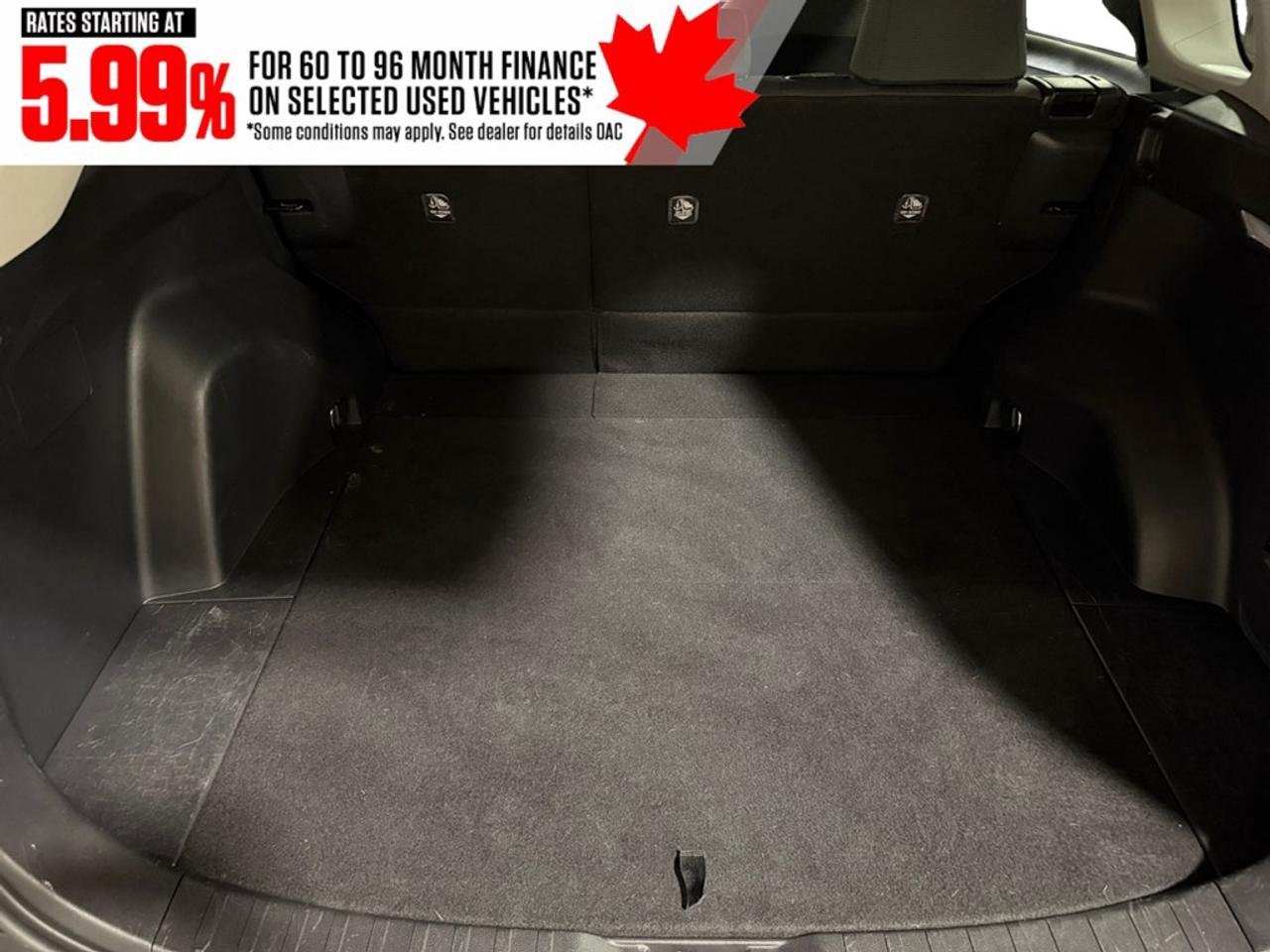 2019 Toyota RAV4 AWD XLE Photo