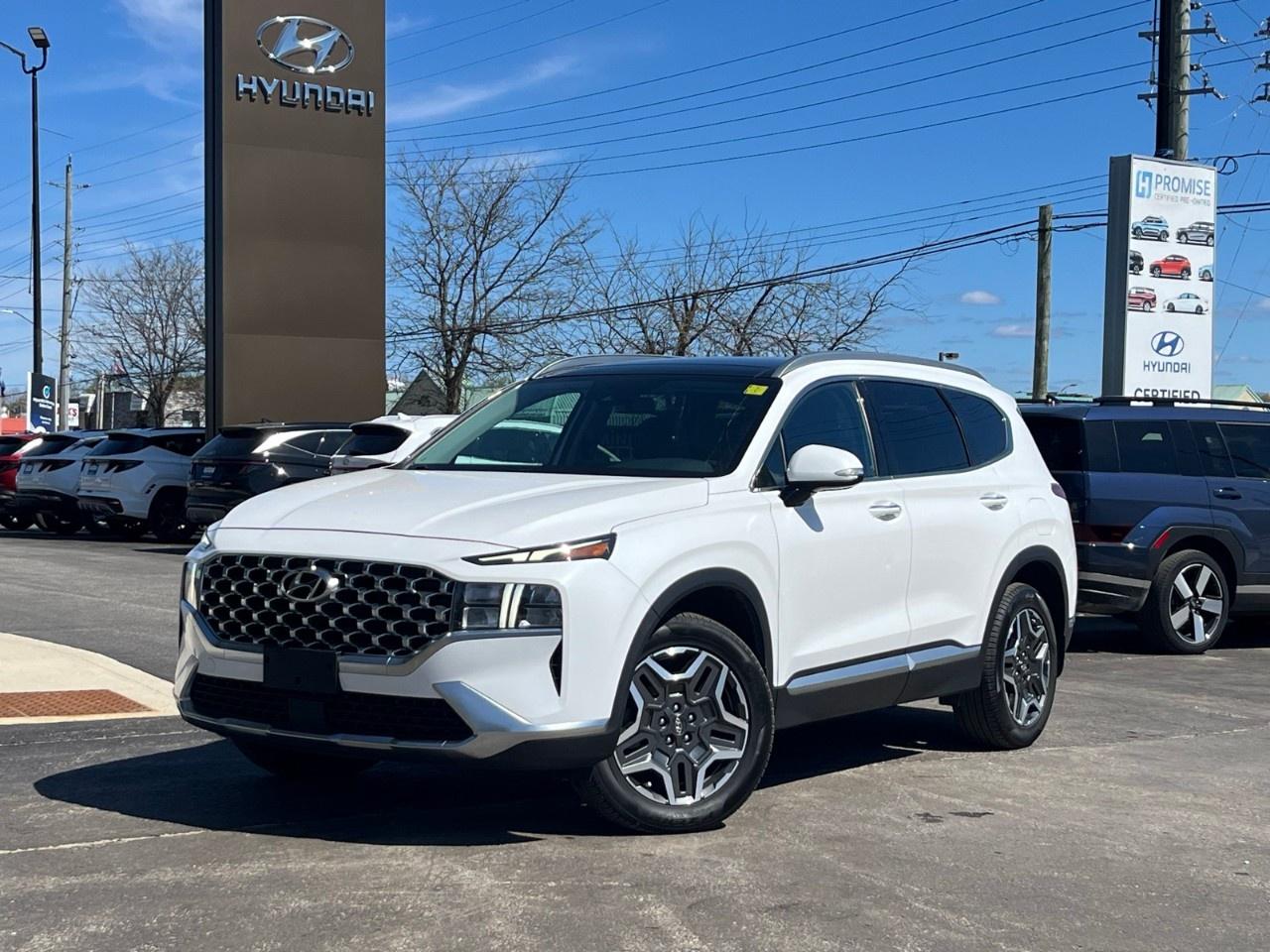 2021 Hyundai Santa Fe Hybrid Luxury AWD Photo