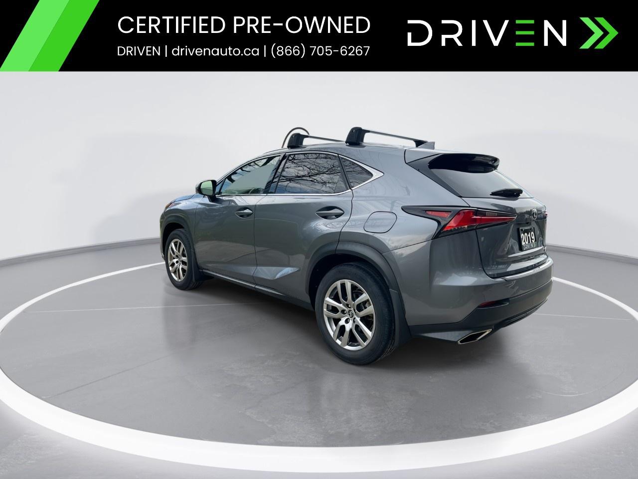 2019 Lexus NX NX 300 Auto Photo