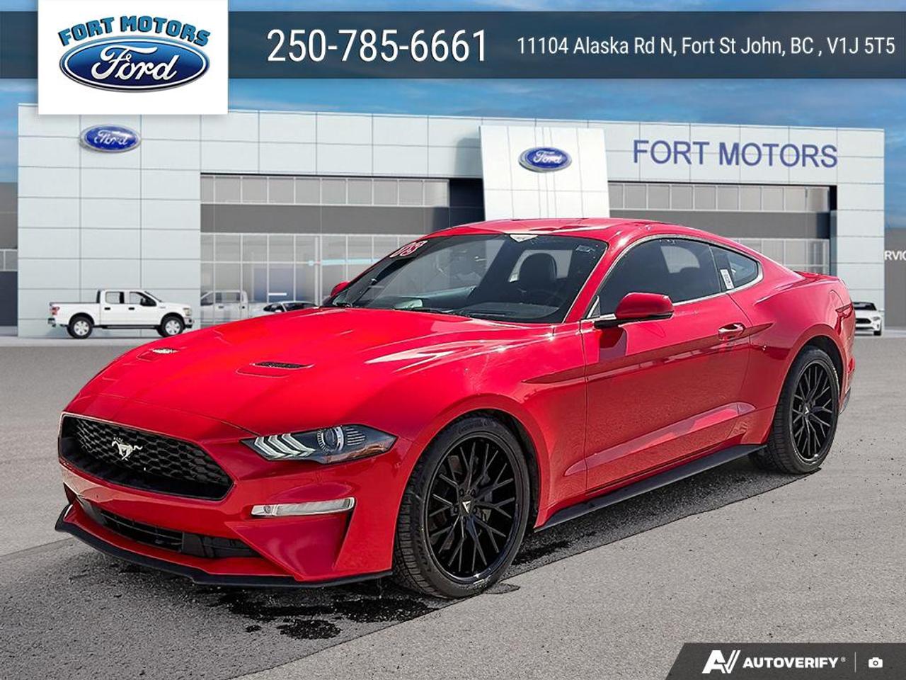2018 Ford Mustang EcoBoost Premium Photo1