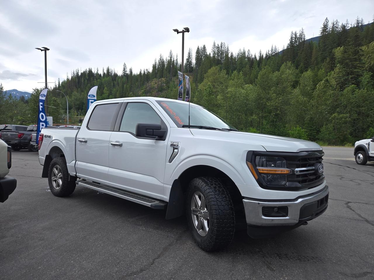 2025 Ford F-150 XLT Photo4