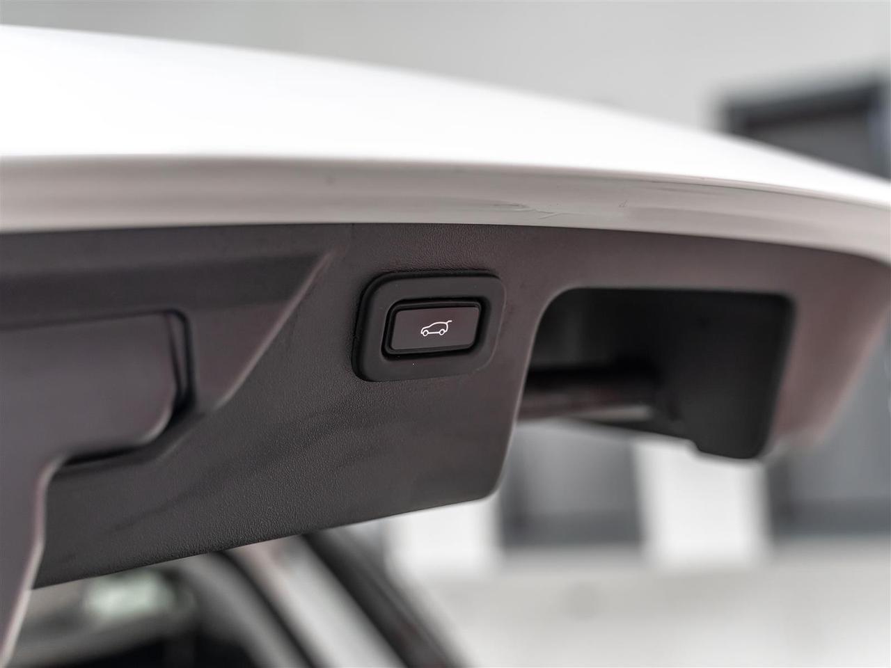 2020 Land Rover Discovery Sport SE|P250|Adaptive Cruise Control|Meridian Sound|Low Kilometers Photo