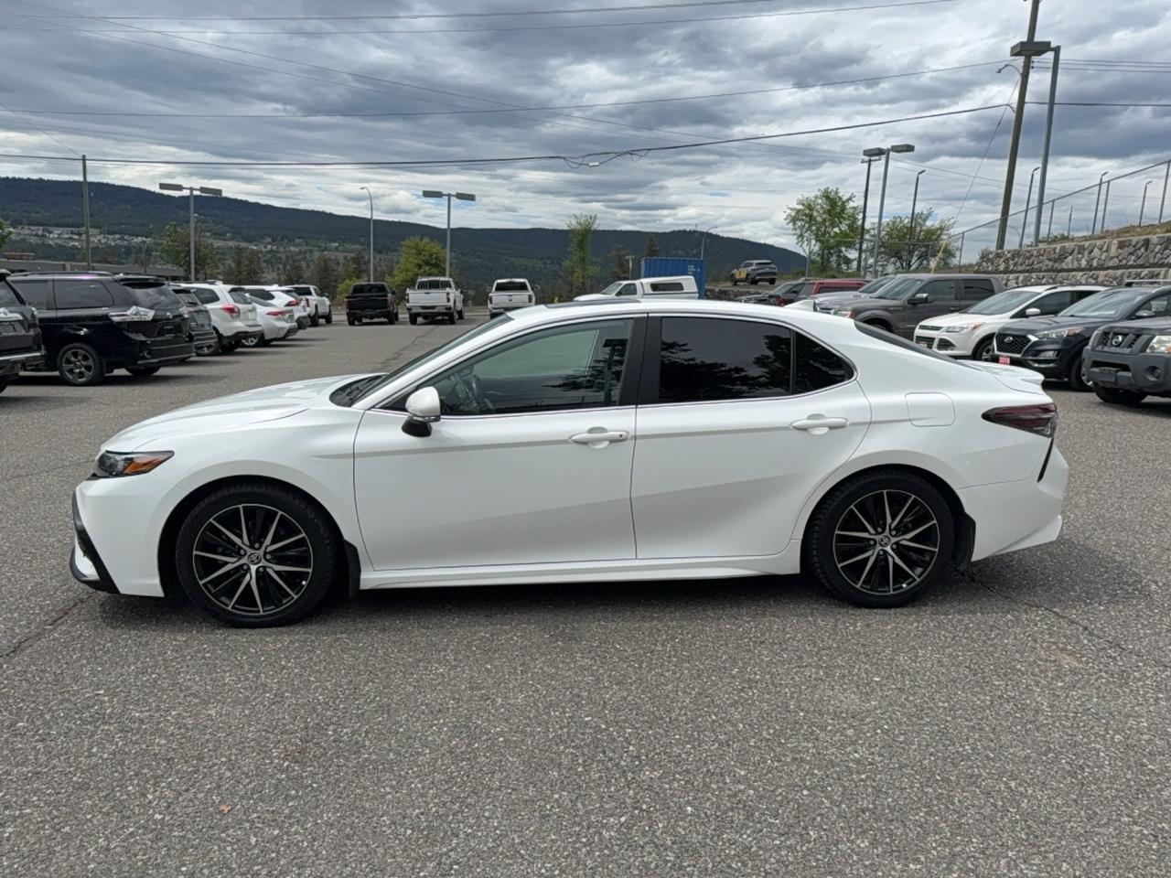 2024 Toyota Camry SE Photo