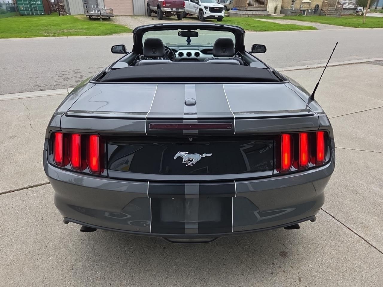 2015 Ford Mustang EcoBoost Premium Photo4