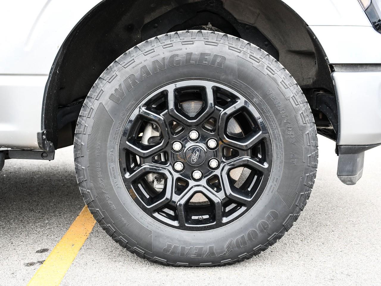 2024 Ford F-150 2024 Ford F-150 XLT | 302A | Black Appearance Package | Stock #LK00840T Photo