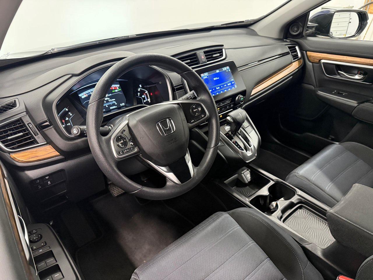 2019 Honda CR-V EX Photo