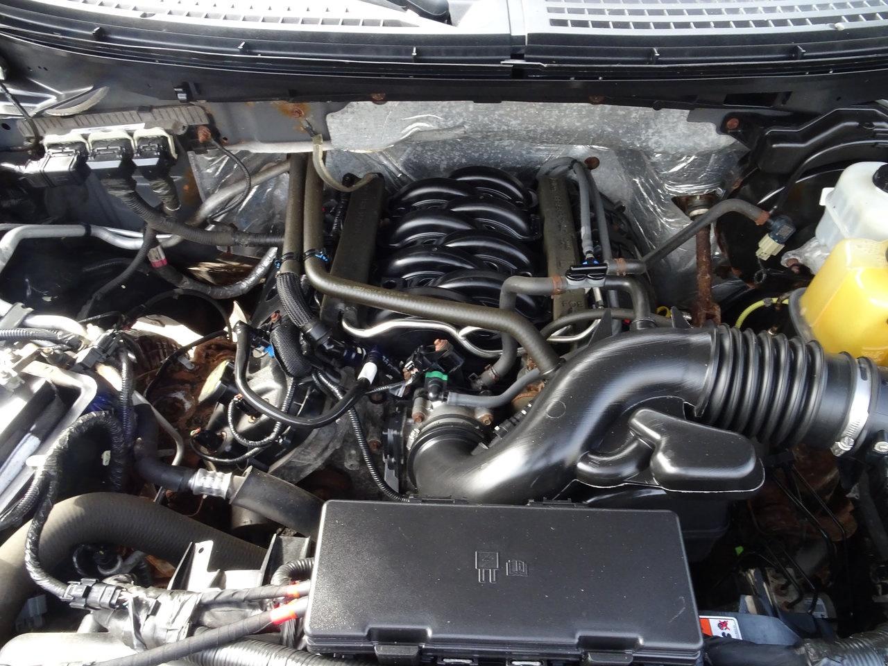 2013 Ford F-150 XLT Photo